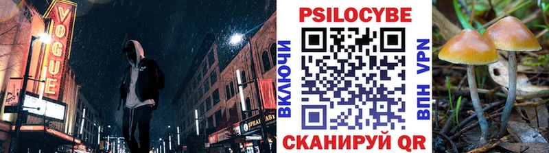 Галлюциногенные грибы GOLDEN TEACHER  Ревда 